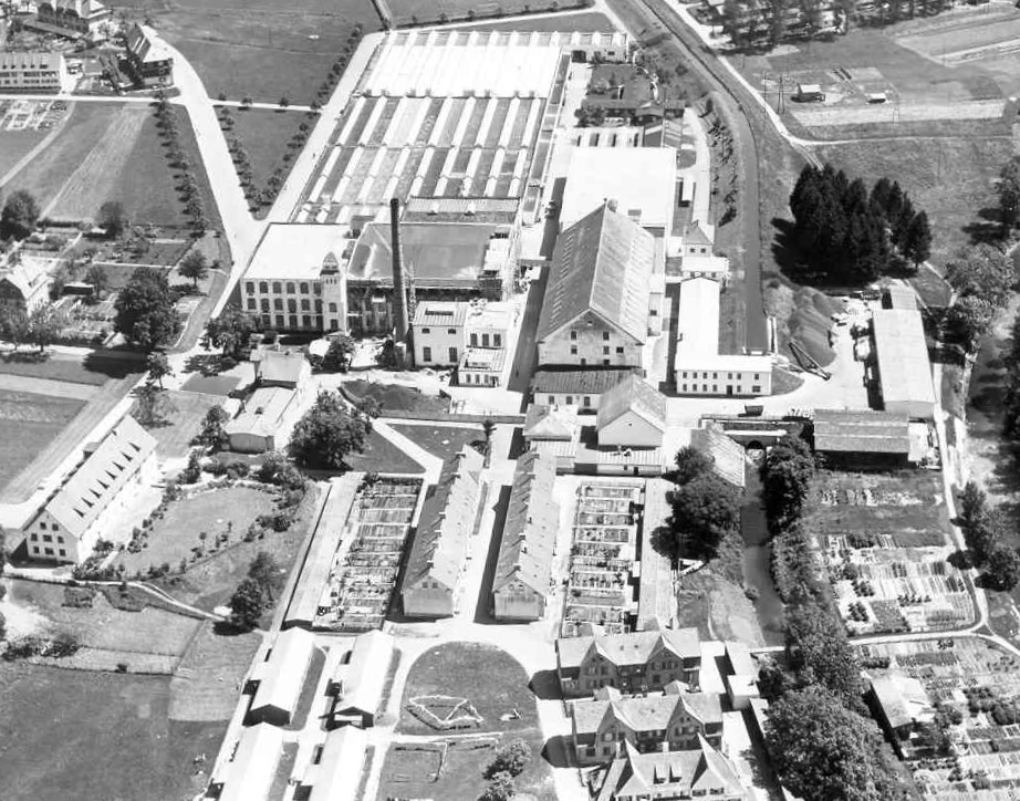 Luftbild Erba Gelände Wangen 1957