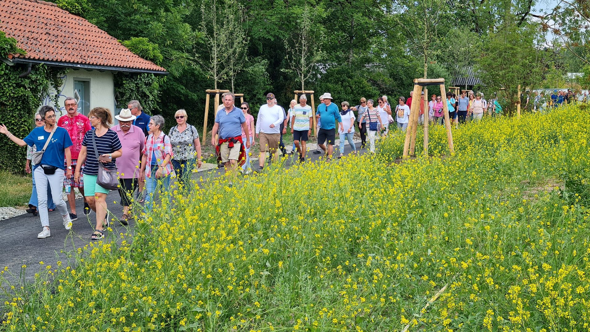 Spezialführung für Ehrenamtliche - im Vordergrund Blumen, im Hintergrund eine spazierende Gruppe