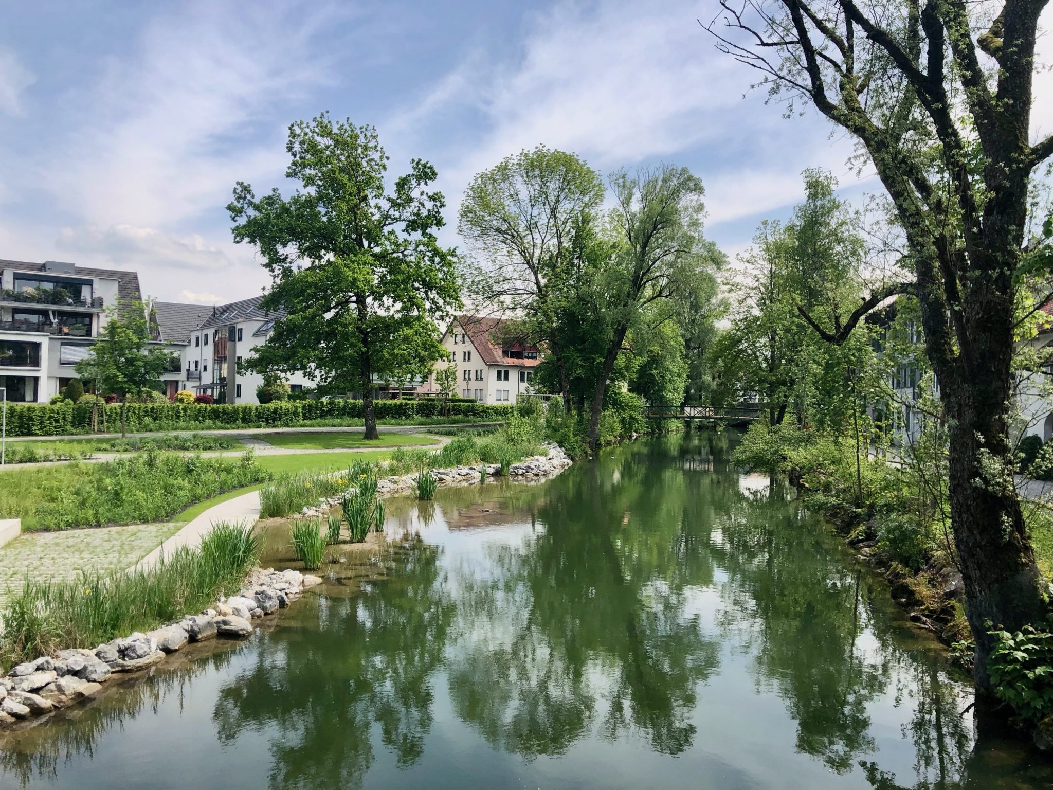 Der Neue Stadtgarten - Landesgartenschau Wangen 2024