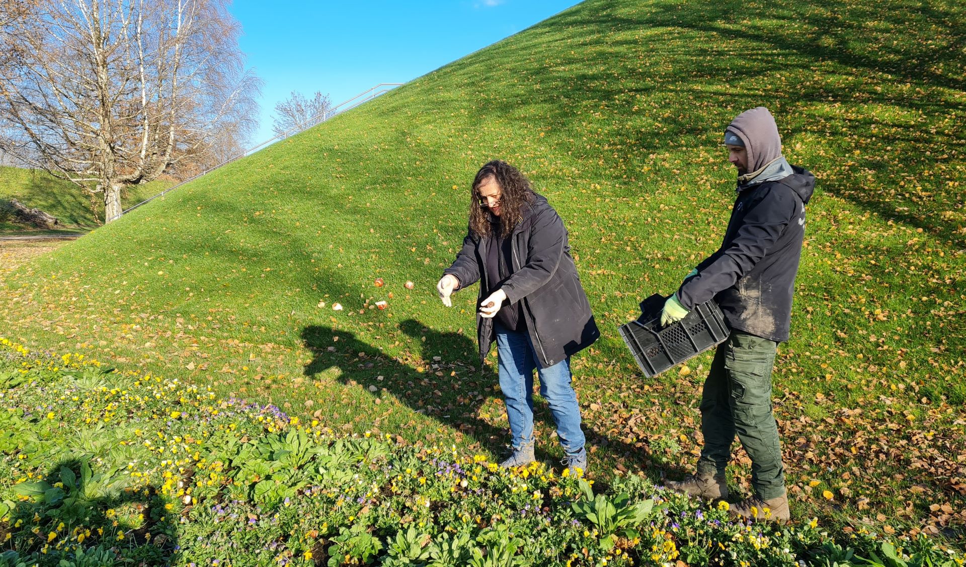 Pflanzplanerin Birgit Rosenberger-Rausch beim Ausbringen der Blumenzwiebeln. Foto: Landesgartenschau Wangen/Tarja Prüss