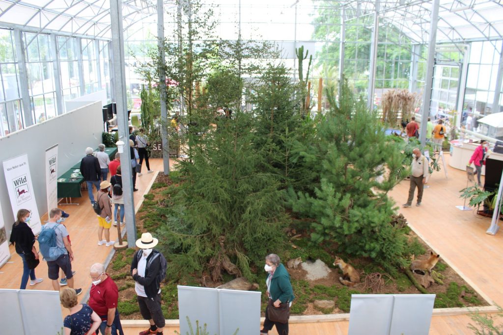 Ausstellung mit Bäumen beim Treffpunkt Baden-Württemberg. Foto: TBW-bwgruen